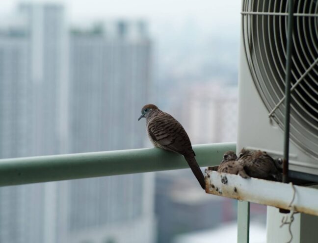 A dove perched on a metal bar near an AC condenser fan on a condo terrace.