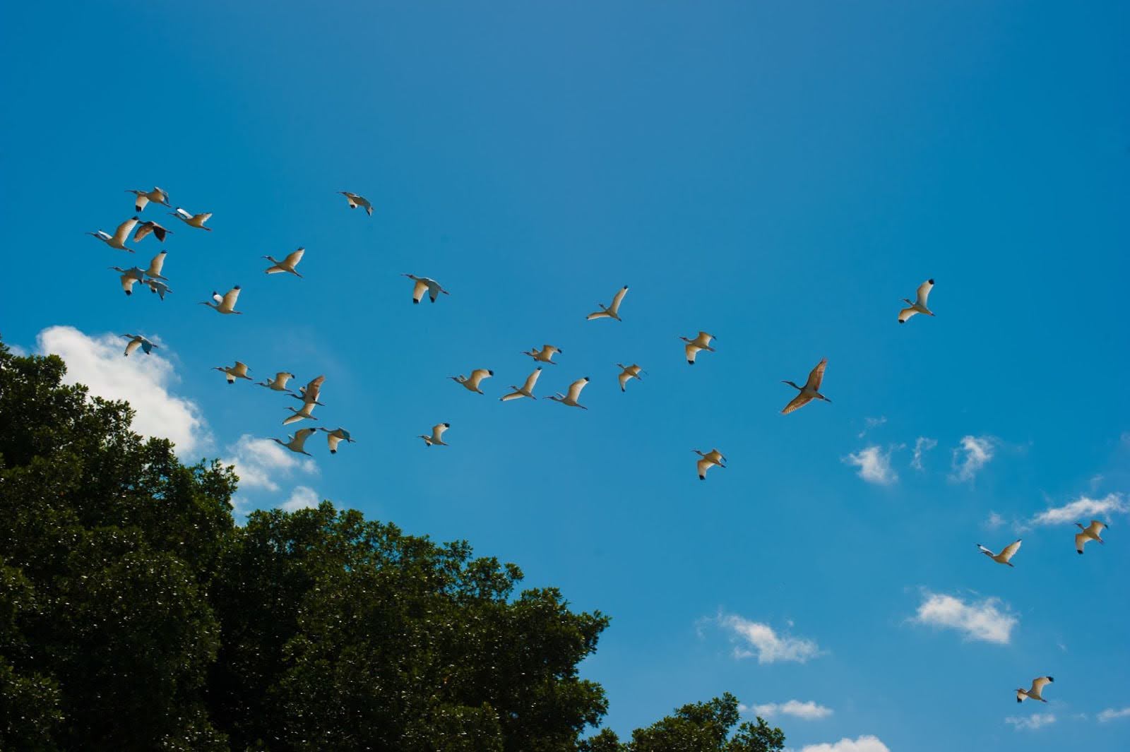 One-Time Treatments vs. Quarterly Pest Control Services: Pros and Cons