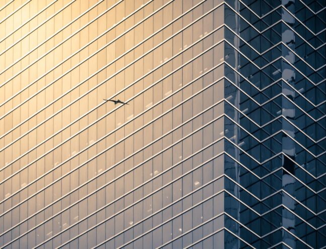 Bird flying next to a commercial building.