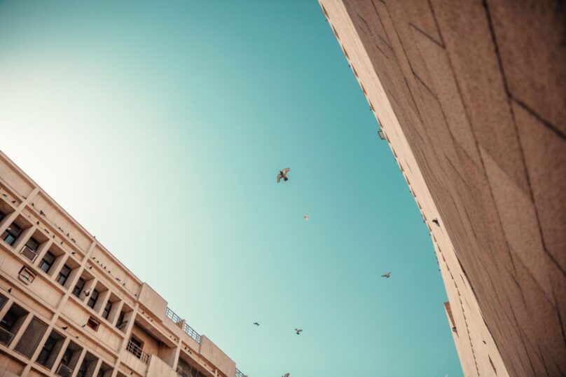 Swallows gliding between an older brick building and a newer modern building
