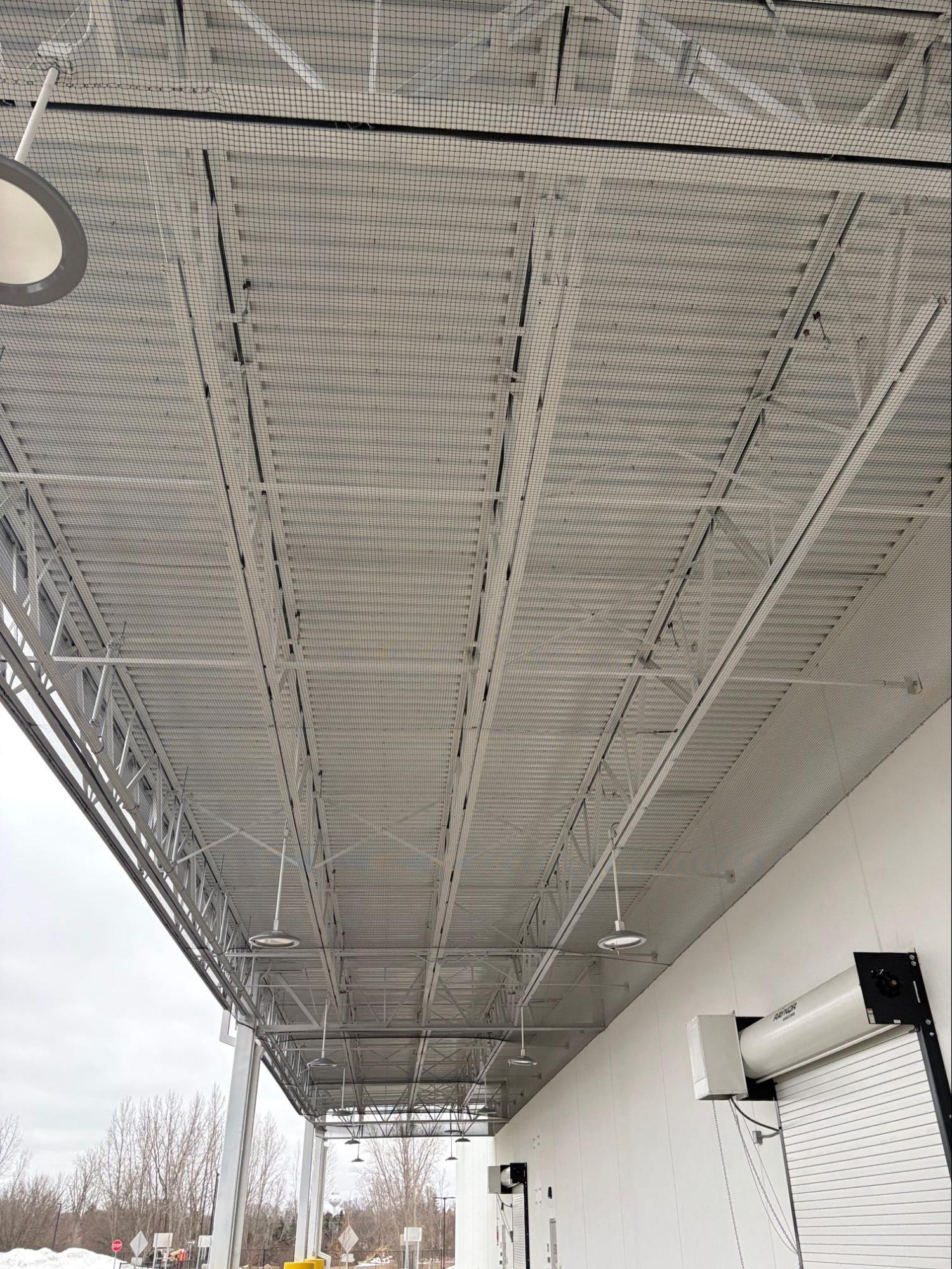 Protective bird netting under building overhang to deter swallow nesting