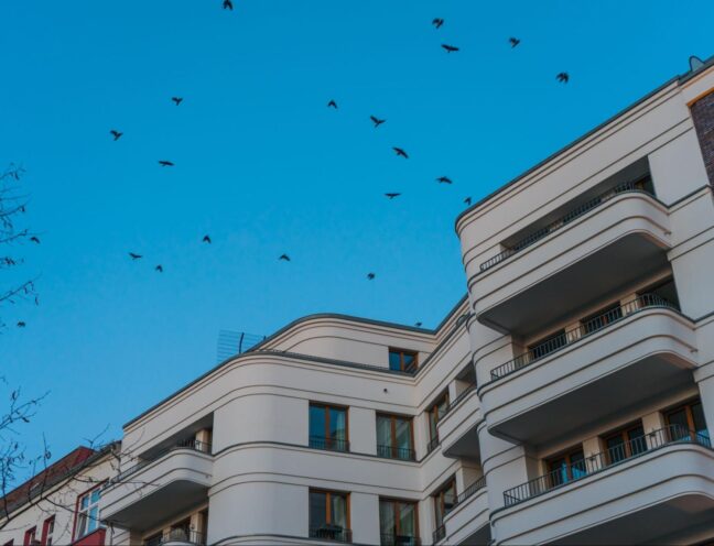 Modern white apartment building with curved balconies against a clear blue sky, and birds flying overhead.
