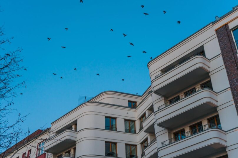 Modern white apartment building with curved balconies against a clear blue sky, and birds flying overhead.