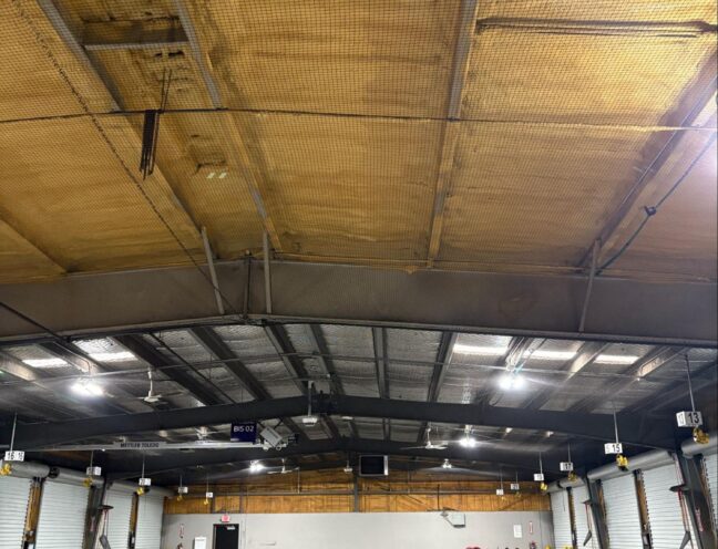 Bird netting installed across a commercial warehouse ceiling to block swallows from accessing overhead beams and nesting areas
