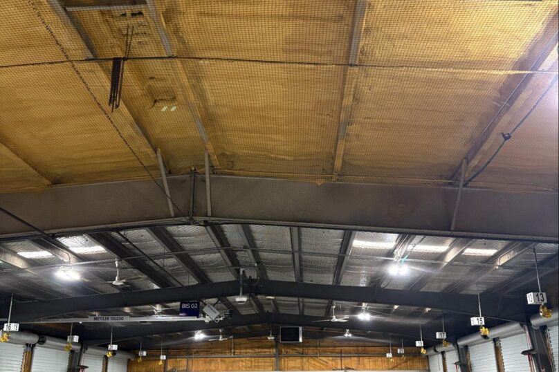 Bird netting installed across a commercial warehouse ceiling to block swallows from accessing overhead beams and nesting areas